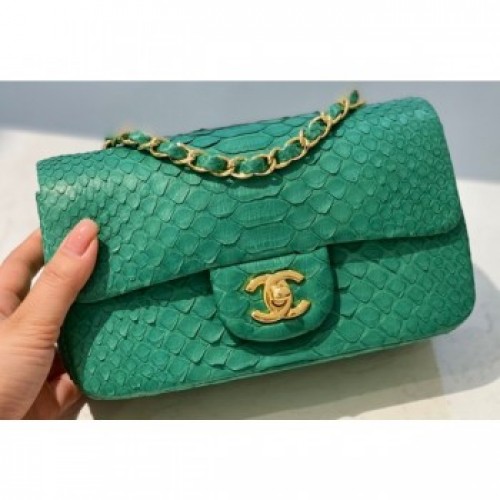 Chanel Python Classic Flap Small Bag A1116 15 AQ02818