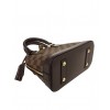 Louis Vuitton Alma BB N41221 Brown