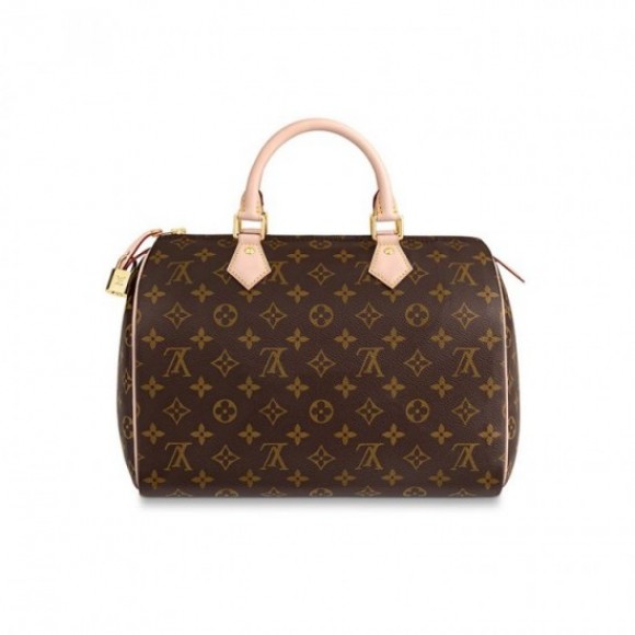 Louis Vuitton Speedy 30 M41108 Louis Vuitton Speedy 30 M41108