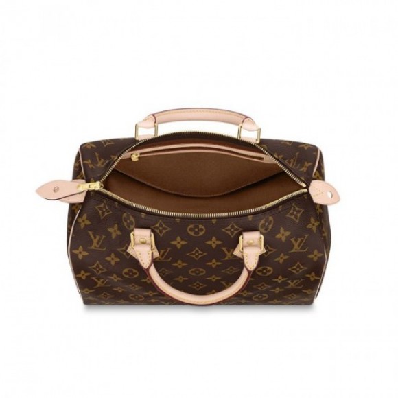 Louis Vuitton Speedy 30 M41108 Louis Vuitton Speedy 30 M41108