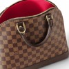 Louis Vuitton Damier Ebene Coated Canvas N53151 Alma PM