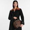 Louis Vuitton Damier Ebene Coated Canvas N53151 Alma PM