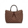 Louis Vuitton Siena MM N41546