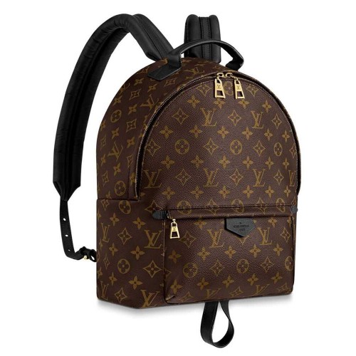 Louis Vuitton Palm Springs MM M44874 Brown Louis Vuitton Palm Springs MM M44874 Brown