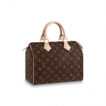 Louis Vuitton Speedy 25 M41109 Louis Vuitton Speedy 25 M41109