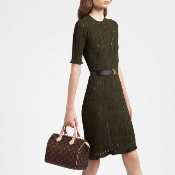 Louis Vuitton Speedy 25 M41109 Louis Vuitton Speedy 25 M41109