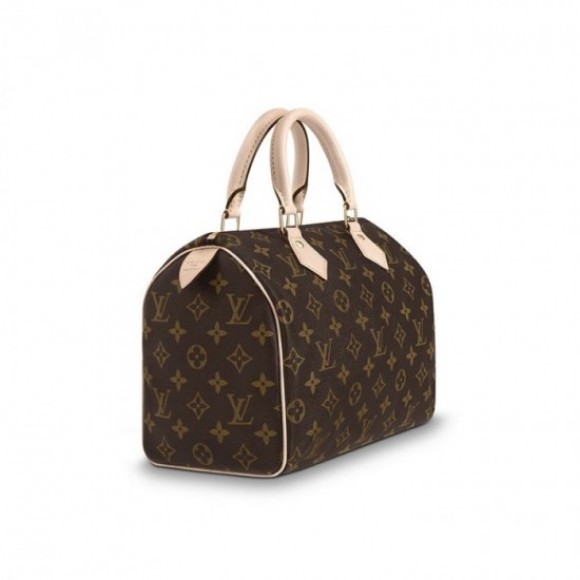 Louis Vuitton Speedy 25 M41109 Louis Vuitton Speedy 25 M41109