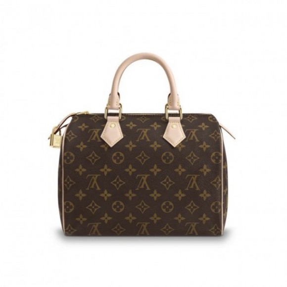 Louis Vuitton Speedy 25 M41109 Louis Vuitton Speedy 25 M41109