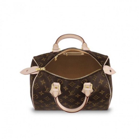 Louis Vuitton Speedy 25 M41109 Louis Vuitton Speedy 25 M41109