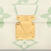 Louis Vuitton M46842 Favorite Latte/Matcha
