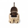 Louis Vuitton M23384 LV SKI Backpack