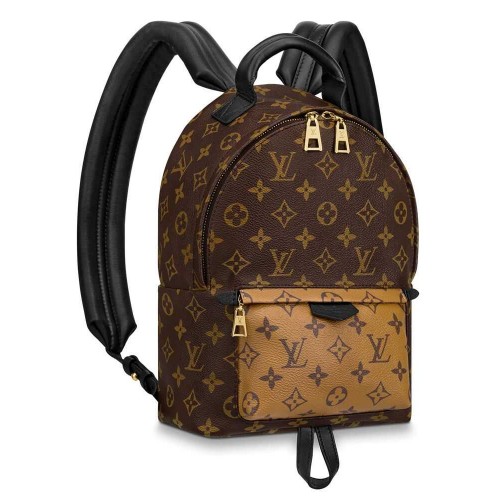 Louis Vuitton Palm Springs PM M44870 Brown Louis Vuitton Palm Springs PM M44870 Brown