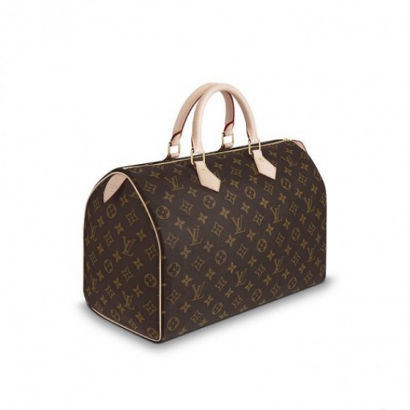 Louis Vuitton Speedy 35 M41107 Louis Vuitton Speedy 35 M41107