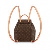 Louis Vuitton M45501 Montsouris PM Brown