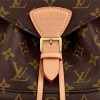 Louis Vuitton M45501 Montsouris PM Brown