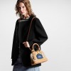 Louis Vuitton Beige Ocher M23502 Alma BB