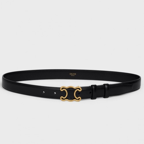 Celine Medium Triomphe Frame Belt 25MM in Black Calfskin