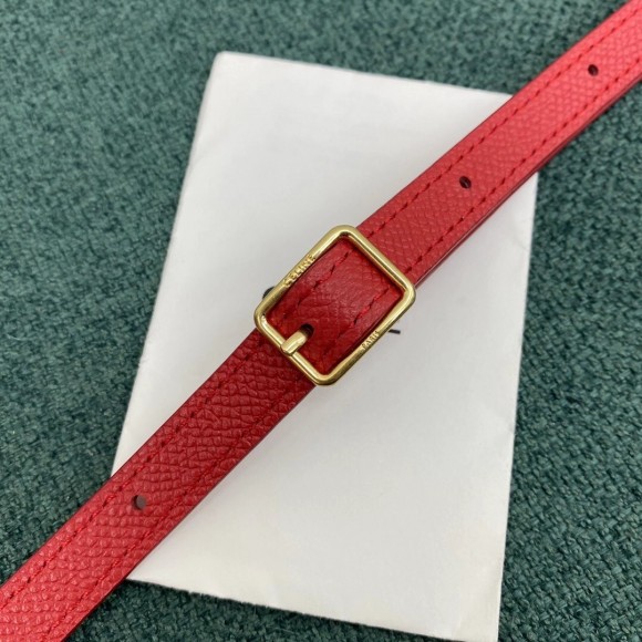 Ce**e belt nano bag in red grained calfskin