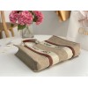 Chloe Woody Large Tote Bag in Linen Canvas with Brown Leather