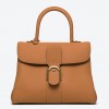 Delvaux Brillant MM Bag in Brown Rodeo Calf Leather