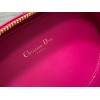 Dior CD Signature Oval Camera Bag in Rani Pink Calfskin