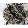 Dior Saddle Bag In Beige Multicolor Mizza Embroidery