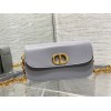 Dior 30 Montaigne Avenue Bag In Grey Box Calfskin