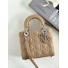 Dior Small Lady Dior My ABCDior Bag in Beige Cannage Lambskin