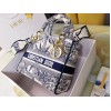 Dior Lady D-Lite Medium Bag In Blue Multicolor Rêve d'Infini Embroidery