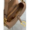 Dior Saddle Bag with Strap in Blush Grained Calfskin