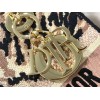 Dior Lady D-Lite Medium Bag In Multicolor Tie Embroidery