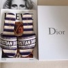 Dior Dway Slides In Navy Blue D-Stripes Embroidered Cotton