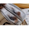 Fendi Fendigraphy Small Hobo Bag In Silver Metallic Leather