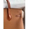 Hermes Touch Birkin 25 Bag in Gold Togo and Matte Alligator Leather