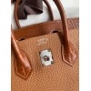 Hermes Touch Birkin 25 Bag in Gold Togo and Matte Alligator Leather