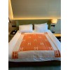 Hermes Avalon Throw Blanket in Orange Wool and Cashmere