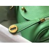 Hermes Lindy Mini Bag In Vert Criquet Clemence Leather GHW