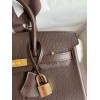 Hermes Birkin 25 Retourne Handmade Bag In Chocolat Chevre Mysore Leather