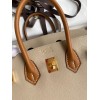 Hermes HSS Birkin 25 Bicolor Bag in Trench and Gold Epsom Calfskin