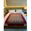 Hermes Avalon III Throw Blanket in Red Wool and Cashmere