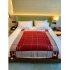 Hermes Avalon III Throw Blanket in Red Wool and Cashmere
