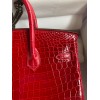 Hermes Birkin 25 Handmade Bag In Red Crocodile Porosus Shiny Skin