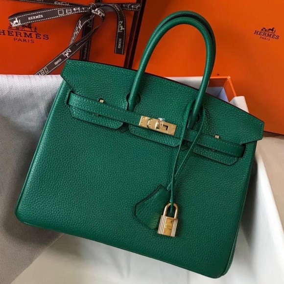 H**mes birkin 25 bag in vert vertigo clemence leather with ghw