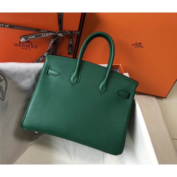 H**mes birkin 25 bag in vert vertigo clemence leather with ghw