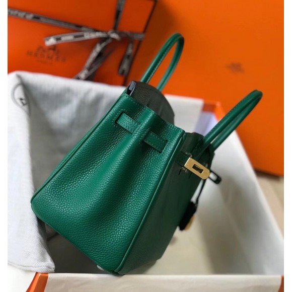 H**mes birkin 25 bag in vert vertigo clemence leather with ghw