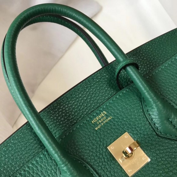 H**mes birkin 25 bag in vert vertigo clemence leather with ghw