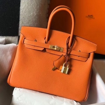 Hermes Birkin 25 Bag In Orange Clemence Leather with GHW Hermes Birkin 25 Bag In Orange Clemence Leather with GHW