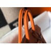 Hermes Birkin 25 Bag In Orange Clemence Leather with GHW
