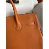 Hermes Birkin 25 Retourne Handmade Bag In Orange Clemence Leather
