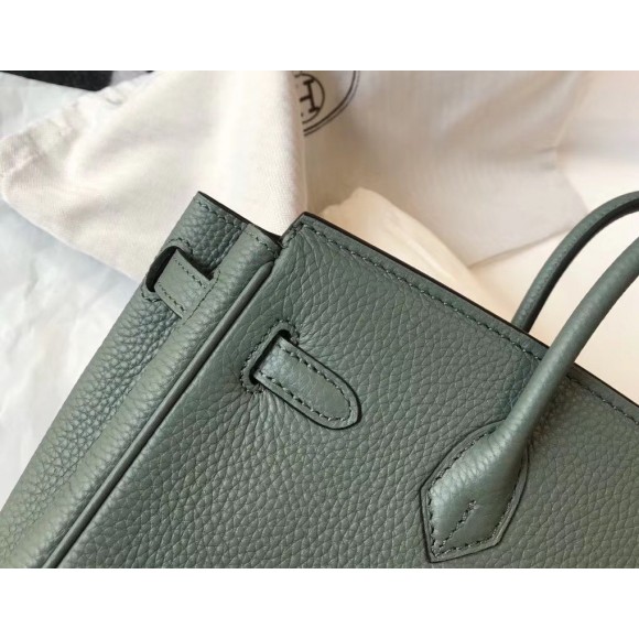 H**mes birkin 25 bag in vert amande clemence leather with ghw